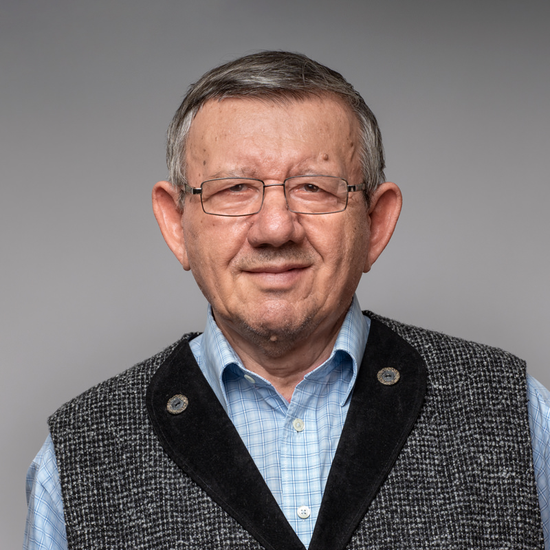 Profesor Gheorghe Sinescu, portret, fundal gri Profesor Gheorghe Sinescu, portret, fundal gri