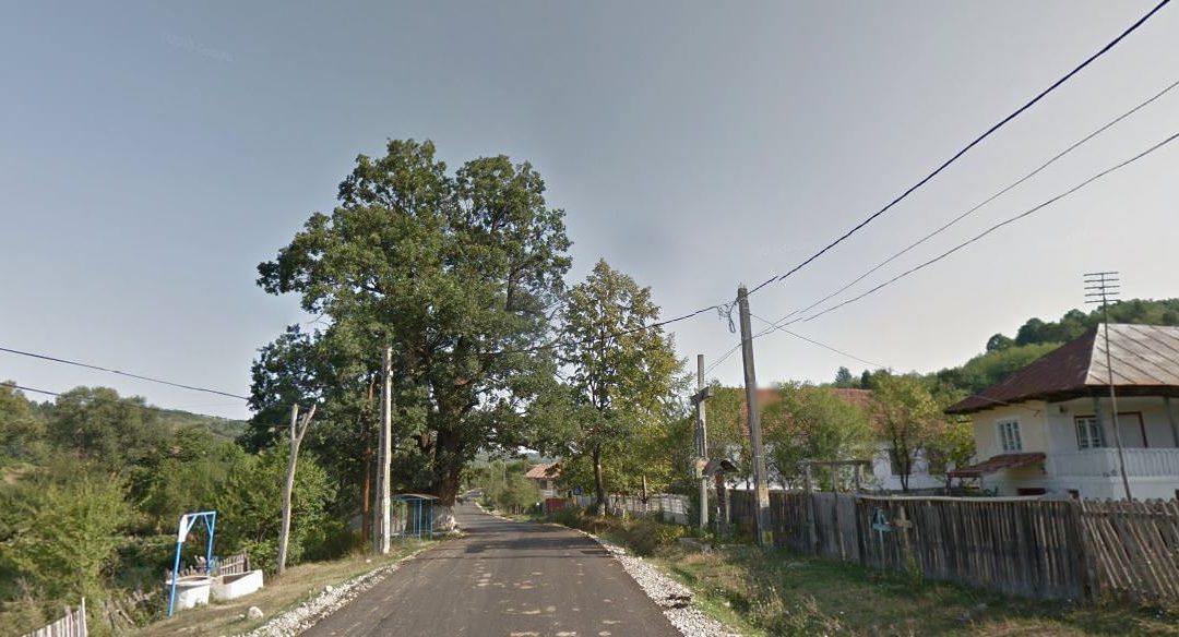 Din vorbirea locuitorilor din satul Piscoiu