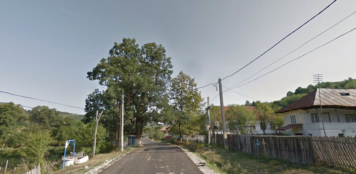 Satul Piscoiu, intrarea în sat